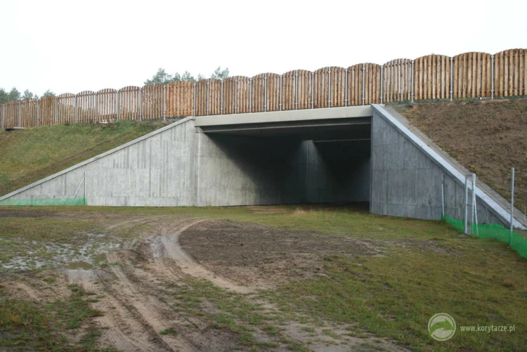 4-Typowe przejścia dolne dla średnich zwierząt o konstrukcji betonowej przy autostradzie A1, odcinek:...