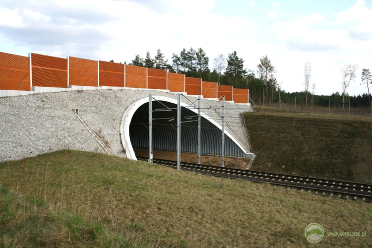 28-W 2007 r. powstały dwa przejścia górne nad linią kolejową E20, odcinek: Rzepin-Kunowice