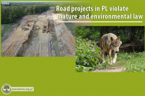 Linking EU funds to the rule of law necessary to stop EU support for road projects that destroy nature in Poland.