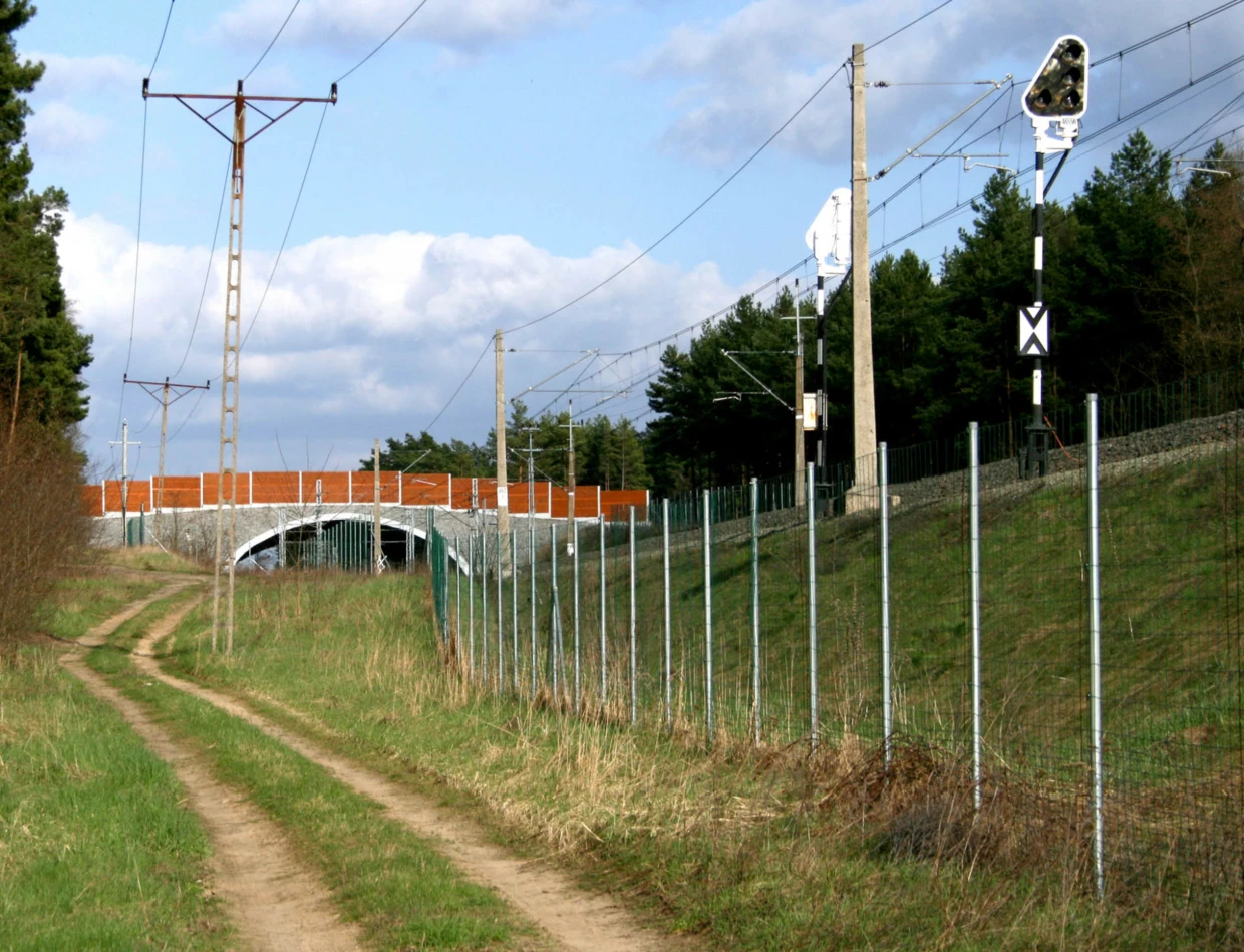 
Ogrodzenia ochronne powinny być stosowane wzdłuż linii kolejowych jedynie w szczególnych przypadkach – np. jako element naprowadzający do dużych przejść dla zwierząt. Fot. Rafał T. Kurek
