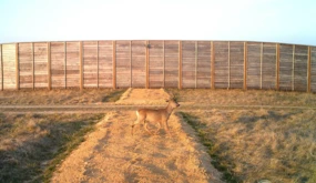 Na nowo oddanych do użytku przejściach górnych niezwykle rzadko udaje się złapać na fotopułapkę...