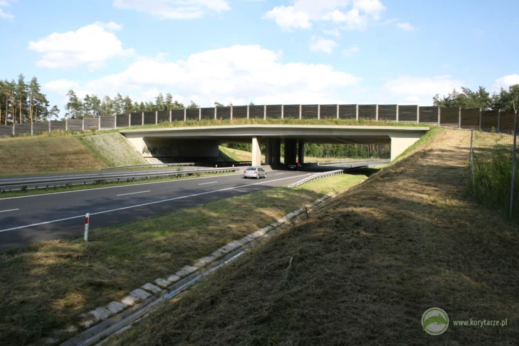 16-Pierwsze duże przejścia górne przy drogach zarządzanych przez GDDKiA powstały w 2005 r., przy...