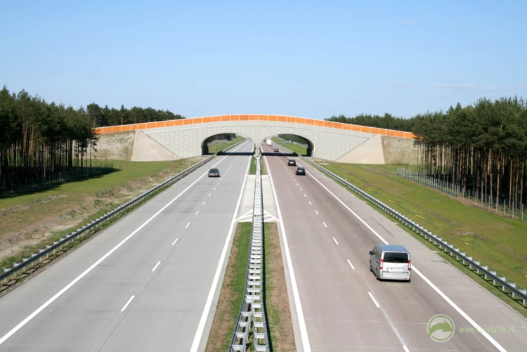 41-Najlepsze przejścia górne powstały dotychczas przy autostradzie A2, odcinek: Nowy Tomyśl-Świecko...