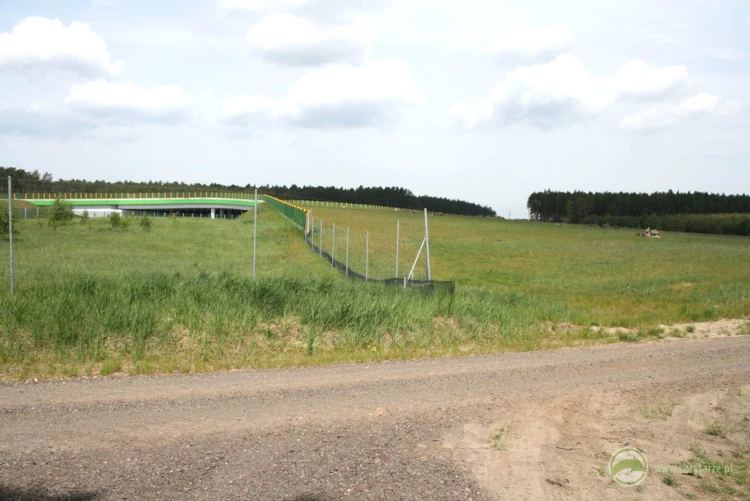 91-Jedyne przejście górne dla dużych zwierząt zlokalizowane na całym istniejącym odcinku drogi ekspresowej S-3 (odcinek: Goleniów-Sulechów)