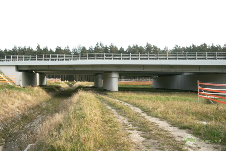 45-Przejście dolne dla dużych zwierząt zespolone z ciekiem i drogą serwisową w ciągu autostrady...