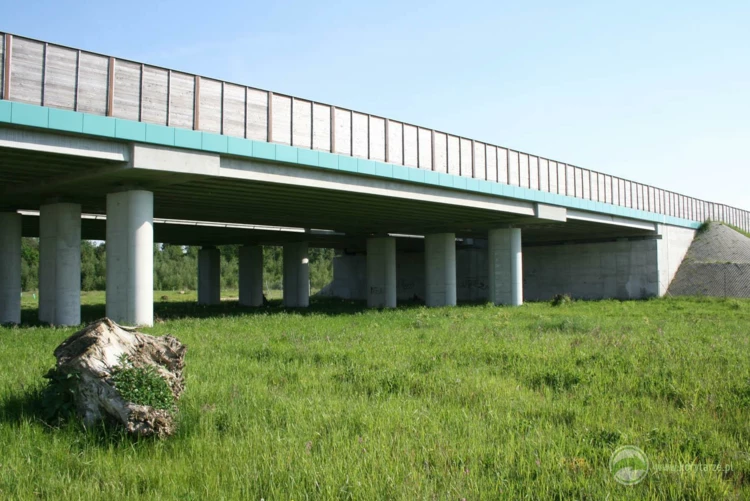 95-Przejścia dolne dla dużych zwierząt zespolone z ciekami i drogami gospodarczymi w ciągu drogi ekspresowej S-8, odcinek: Oleśnica-Syców