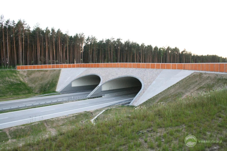 42-Najlepsze przejścia górne powstały dotychczas przy autostradzie A2, odcinek: Nowy Tomyśl-Świecko...