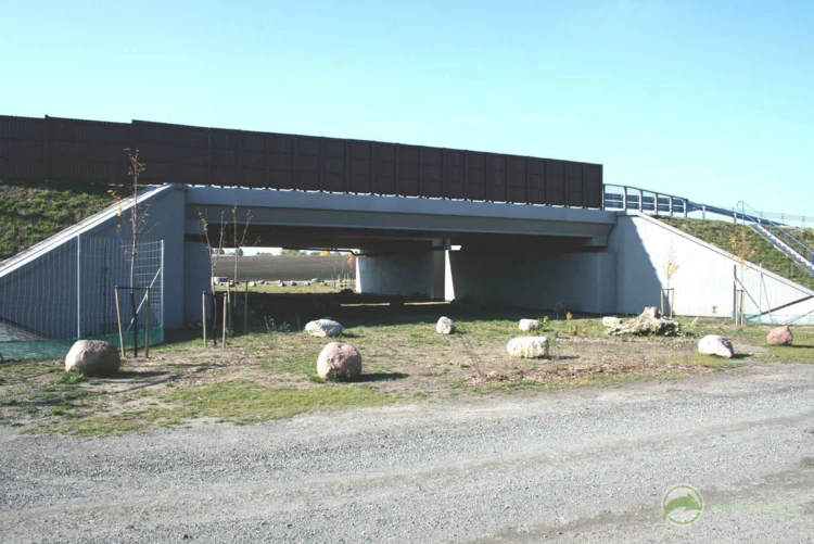 21-Przejścia dla średnich zwierząt pod autostradą A1, odcinek: Czerniewice-Nowe Marzy