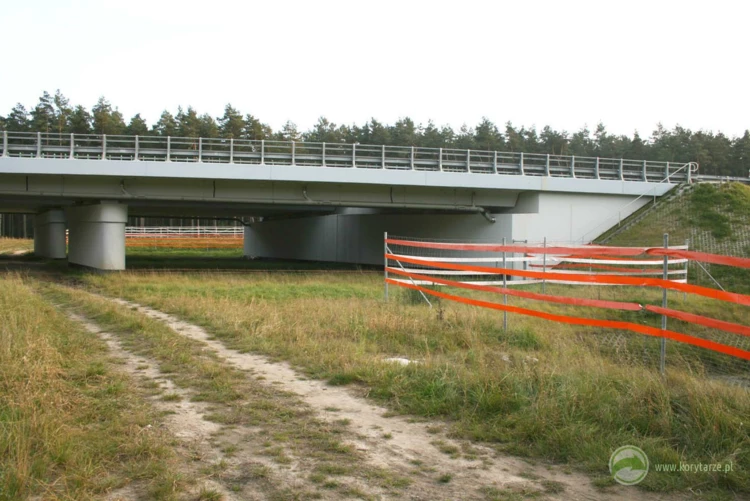 46-Przejście dolne dla dużych zwierząt zespolone z ciekiem i drogą serwisową w ciągu autostrady...