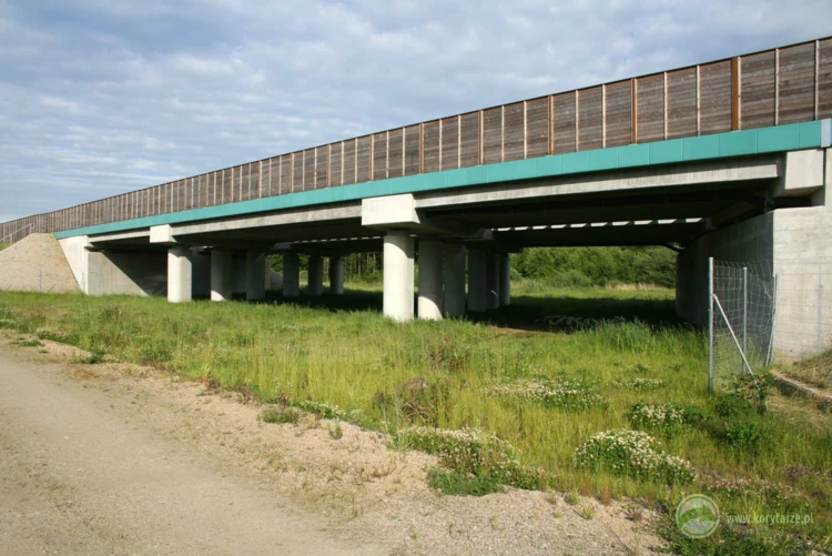 96-Przejścia dolne dla dużych zwierząt zespolone z ciekami i drogami gospodarczymi w ciągu drogi ekspresowej S-8, odcinek: Oleśnica-Syców
