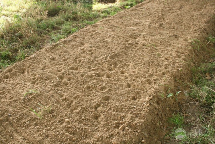 Tropy lisów, zajęcy i saren na dużym przejściu dolnym – pas piaszczysty wykorzystywany jest w monitoringu...