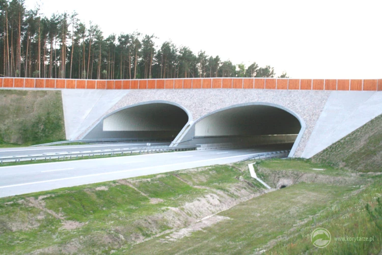 43-Najlepsze przejścia górne powstały dotychczas przy autostradzie A2, odcinek: Nowy Tomyśl-Świecko...