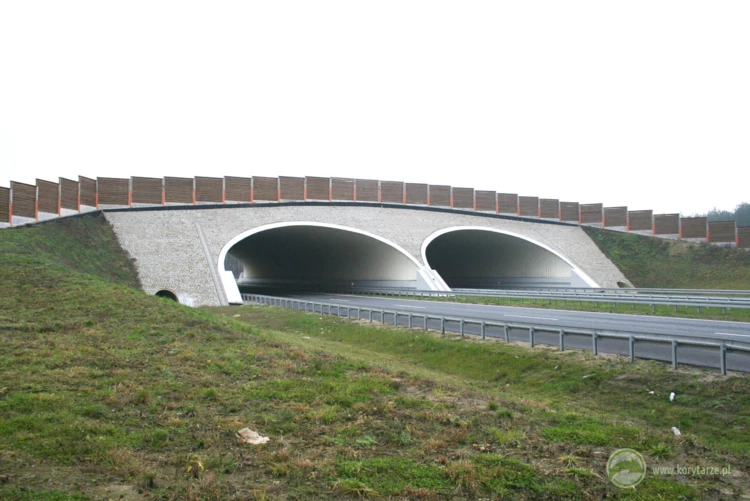 68-Dwa bliźniacze przejścia duże nad drogą ekspresową S-8: odcinek: Kępno-Walichnowy. Fot. Rafał...