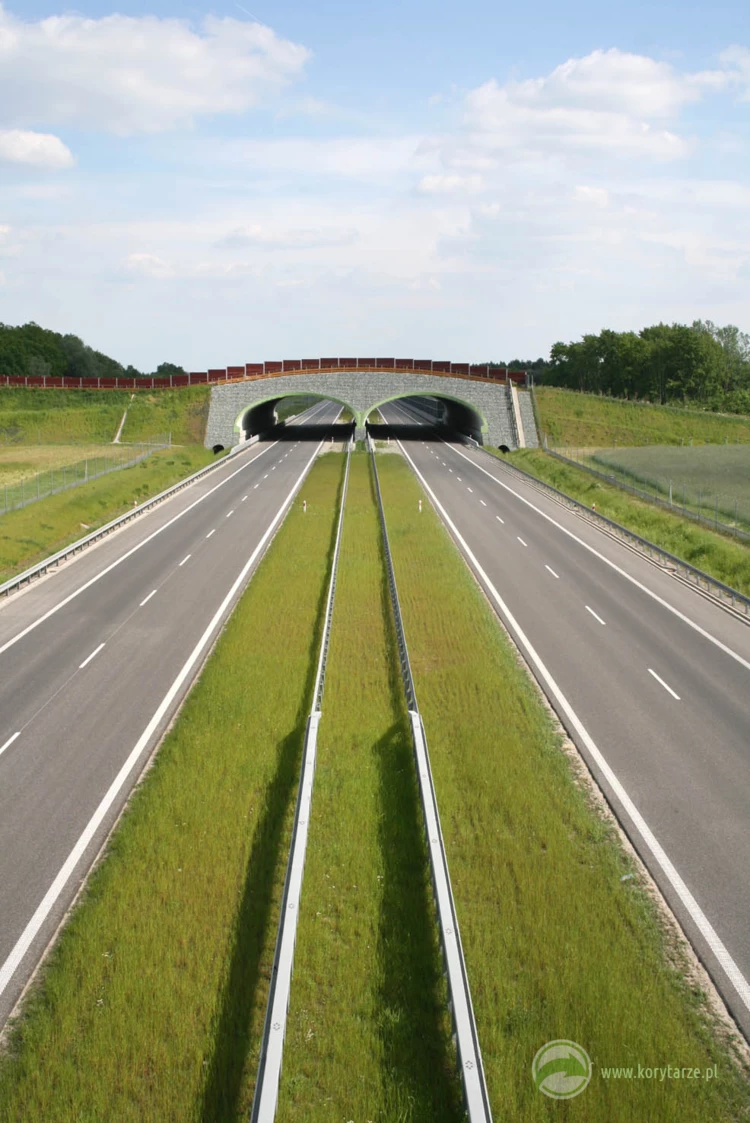 93-Nowatorskie rozwiązanie przejść górnych nad przeszkodami równoległymi – nad drogą ekspresową...