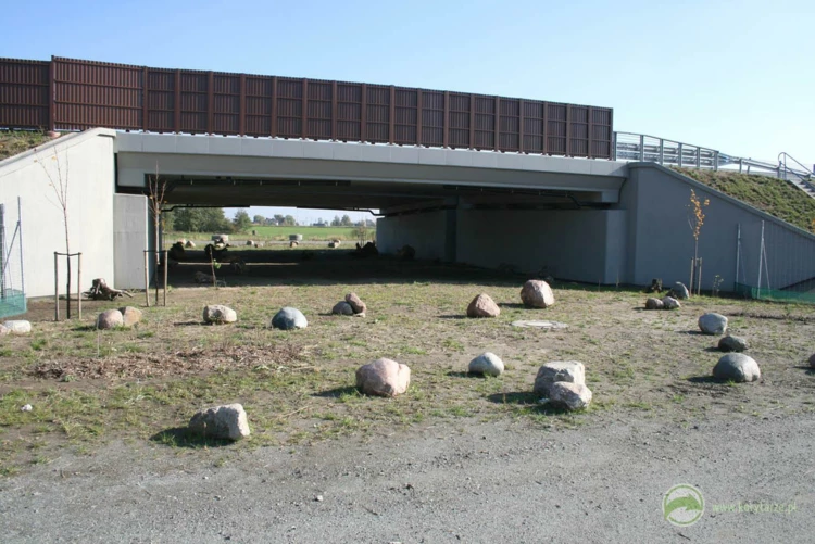 22-Przejścia dla średnich zwierząt pod autostradą A1, odcinek: Czerniewice-Nowe Marzy