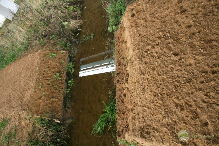 Tropy lisów, zajęcy i saren na dużym przejściu dolnym – pas piaszczysty wykorzystywany jest w monitoringu...