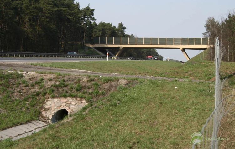 19-Przejście nad drogą krajową nr 5 w okolicy Bydgoszczy – obiekt zamyka okres budowy wąskich przejść...