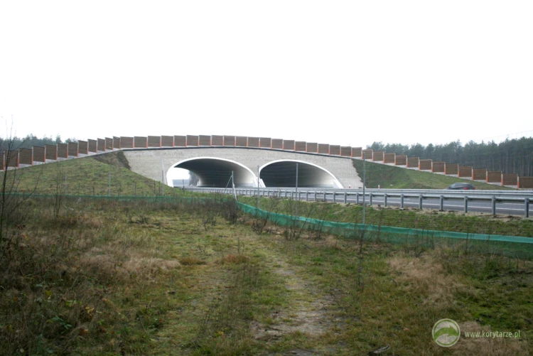 69-Dwa bliźniacze przejścia duże nad drogą ekspresową S-8: odcinek: Kępno-Walichnowy. Fot. Rafał...