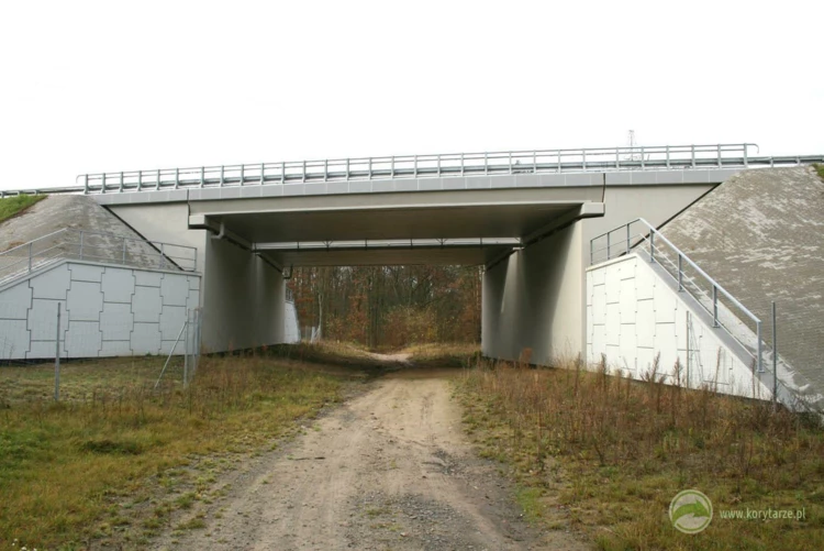 48-Przejścia dla dużych zwierząt zespolone z drogami dojazdowymi przy drodze ekspresowej S-3, odcinek:...