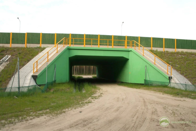 73-Przejścia dolne dla średnich zwierząt pod drogą ekspresową S-3, odcinek: Gorzów Wlkp.-Międzyrzecz...