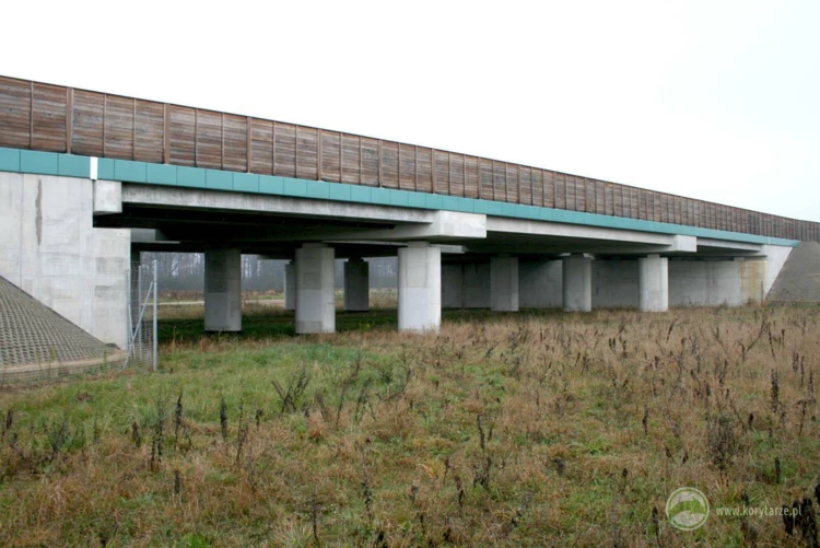 98-Przejścia dolne dla dużych zwierząt zespolone z ciekami i drogami gospodarczymi w ciągu drogi ekspresowej S-8, odcinek: Oleśnica-Syców