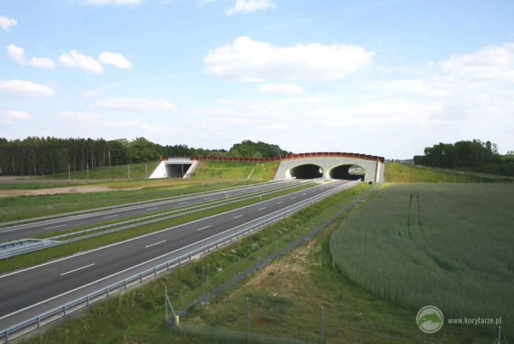 95-Nowatorskie rozwiązanie przejść górnych nad przeszkodami równoległymi – nad drogą ekspresową...