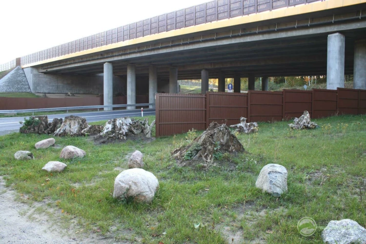 24-Przejście dolne dla dużych zwierząt zespolone z drogą krajową DK55 pod autostradą A1, odcinek:...