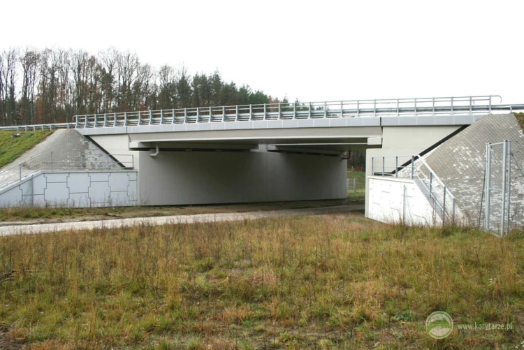 49-Przejścia dla dużych zwierząt zespolone z drogami dojazdowymi przy drodze ekspresowej S-3, odcinek:...