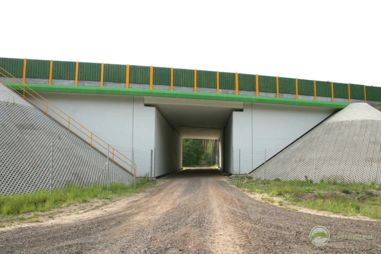 74-Przejścia dolne dla średnich zwierząt pod drogą ekspresową S-3, odcinek: Gorzów Wlkp.-Międzyrzecz...