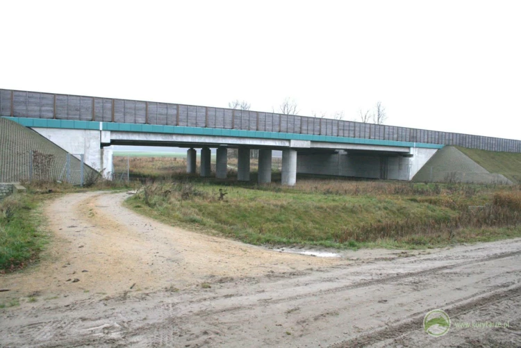 99-Przejścia dolne dla dużych zwierząt zespolone z ciekami i drogami gospodarczymi w ciągu drogi ekspresowej S-8, odcinek: Oleśnica-Syców