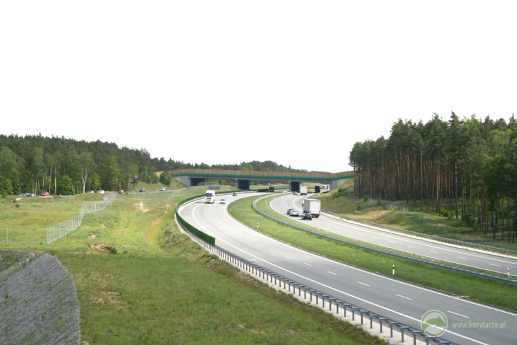 71-Największe przejścia górne przy autostradzie A1, zlokalizowane na odcinku: Czerniewice-Odolion