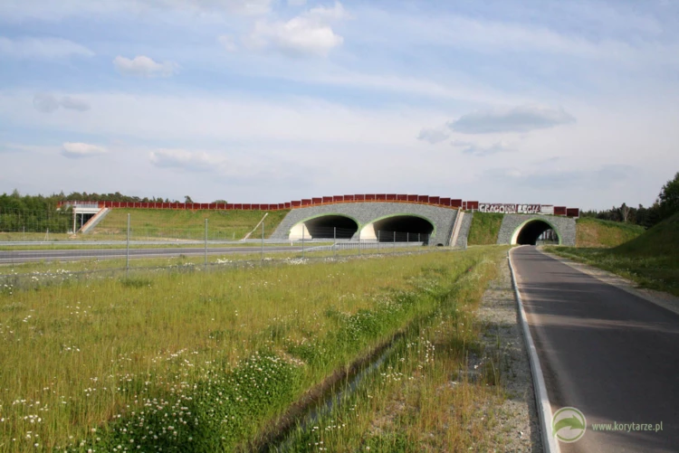 96-Nowatorskie rozwiązanie przejść górnych nad przeszkodami równoległymi – nad drogą ekspresową...