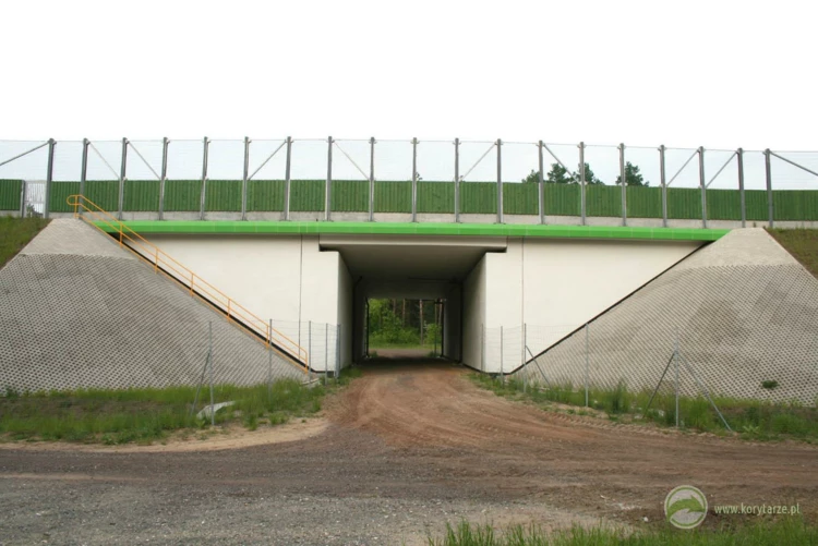 75-Przejścia dolne dla średnich zwierząt pod drogą ekspresową S-3, odcinek: Gorzów Wlkp.-Międzyrzecz...