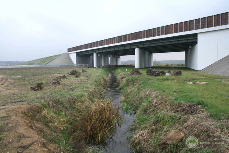 100-Przejście dolne dla dużych zwierząt zespolone z ciekiem i drogą gospodarczą w ciągu drogi ekspresowej...