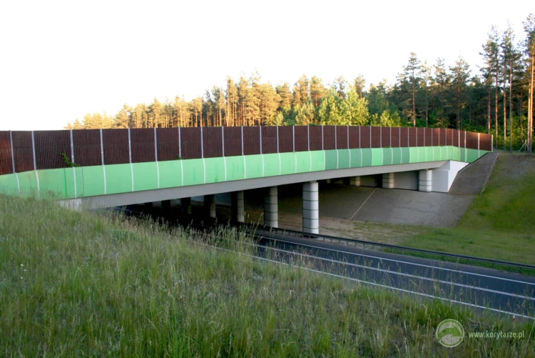 47-Przejścia dla dużych zwierząt nad drogami 1-jezdniowymi to obecnie rzadkość w Polsce – jeden...