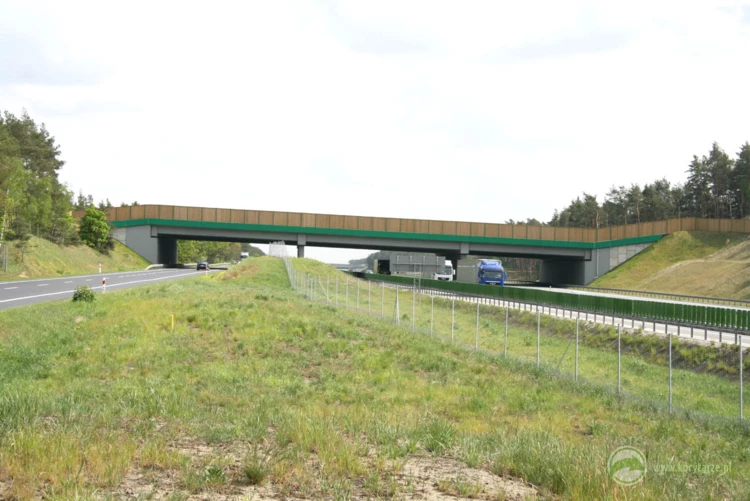 72-Największe przejścia górne przy autostradzie A1, zlokalizowane na odcinku: Czerniewice-Odolion