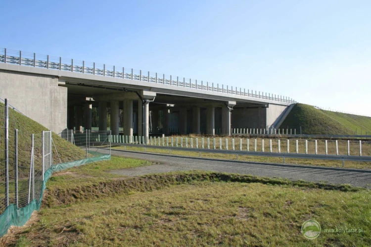 26-Wiadukt dla linii kolejowej o małym ruchu pociągów pod autostradą A1, odcinek: Czerniewice-Nowe...