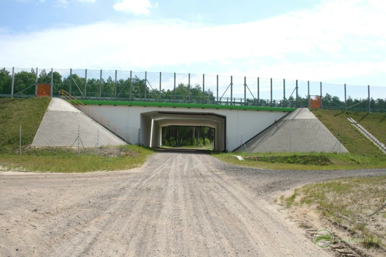 76-Przejścia dolne dla średnich zwierząt pod drogą ekspresową S-3, odcinek: Gorzów Wlkp.-Międzyrzecz...