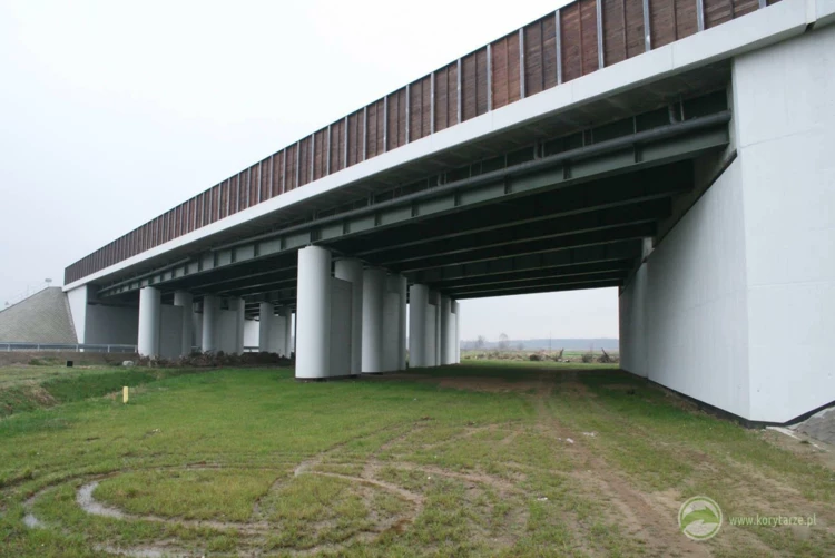 101-Przejście dolne dla dużych zwierząt zespolone z ciekiem i drogą gospodarczą w ciągu drogi ekspresowej...