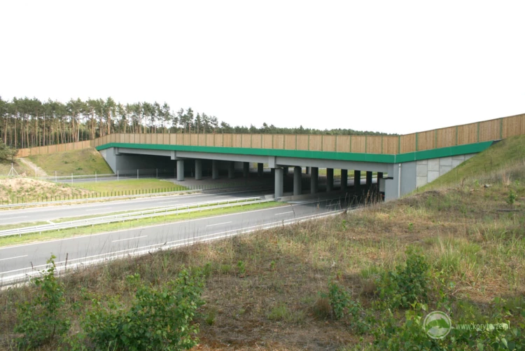 73-Największe przejścia górne przy autostradzie A1, zlokalizowane na odcinku: Czerniewice-Odolion