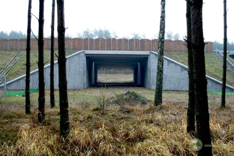 2-Typowe przejścia dolne dla średnich zwierząt o konstrukcji betonowej przy autostradzie A1, odcinek:...