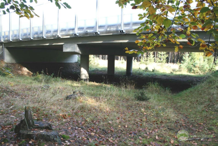 52-Przejścia dolne dla średnich zwierząt pod drogą krajową DK 3 (obwodnica Międzyzdrojów)