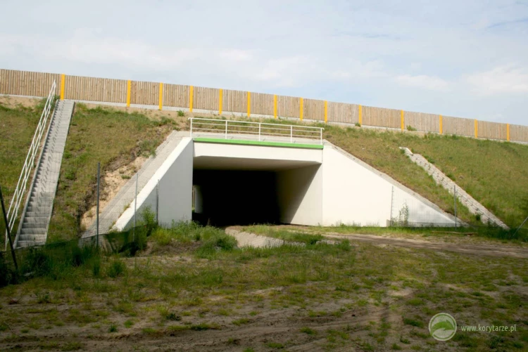 77-Przejścia dolne dla średnich zwierząt pod drogą ekspresową S-3, odcinek: Gorzów Wlkp.-Międzyrzecz...