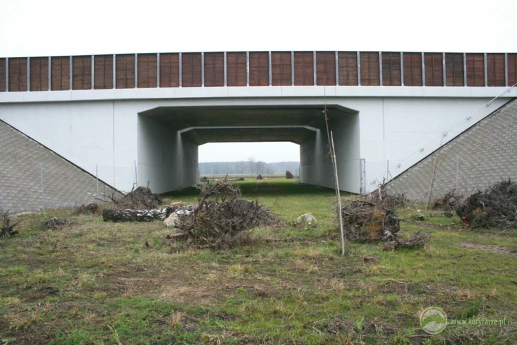 102-Przejścia dolne dla średnich zwierząt w ciągu drogi ekspresowej S-8, odcinek: Syców-Kępno