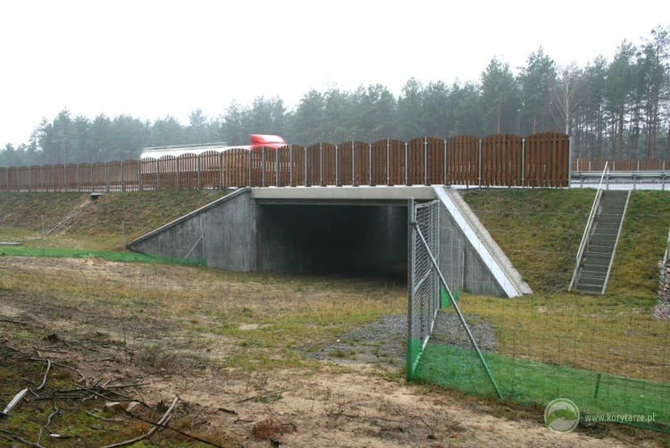 3-Typowe przejścia dolne dla średnich zwierząt o konstrukcji betonowej przy autostradzie A1, odcinek:...