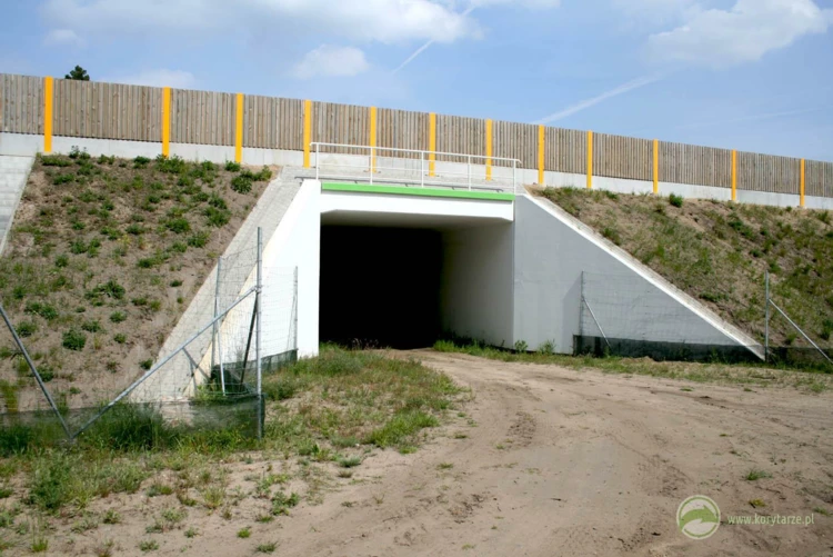 78-Przejścia dolne dla średnich zwierząt pod drogą ekspresową S-3, odcinek: Gorzów Wlkp.-Międzyrzecz...