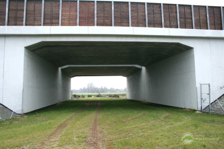 103-Przejścia dolne dla średnich zwierząt w ciągu drogi ekspresowej S-8, odcinek: Syców-Kępno