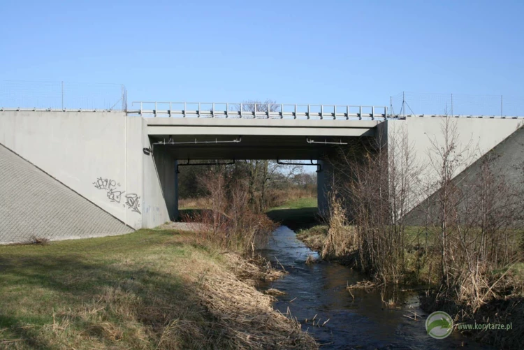 29-Przejście dolne dla średnich zwierząt zespolone z ciekiem pod autostradą A2, odcinek: Poznań-Września...
