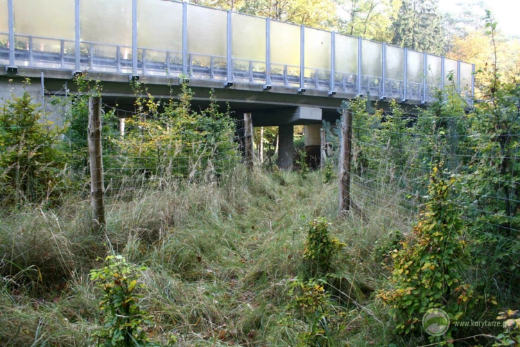 54-Przejścia dolne dla średnich zwierząt pod drogą krajową DK 3 (obwodnica Międzyzdrojów)