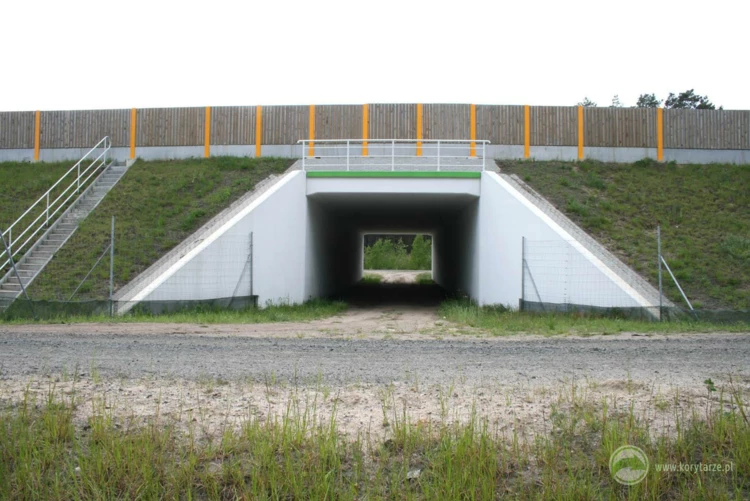 79-Przejścia dolne dla średnich zwierząt pod drogą ekspresową S-3, odcinek: Gorzów Wlkp.-Międzyrzecz...